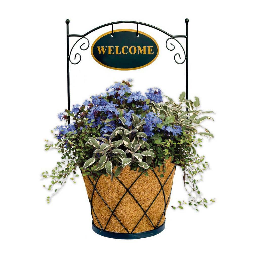 14 in. Plant Fiber Lattice Welcome Planter with AquaSav Coco Liner - Hercitys