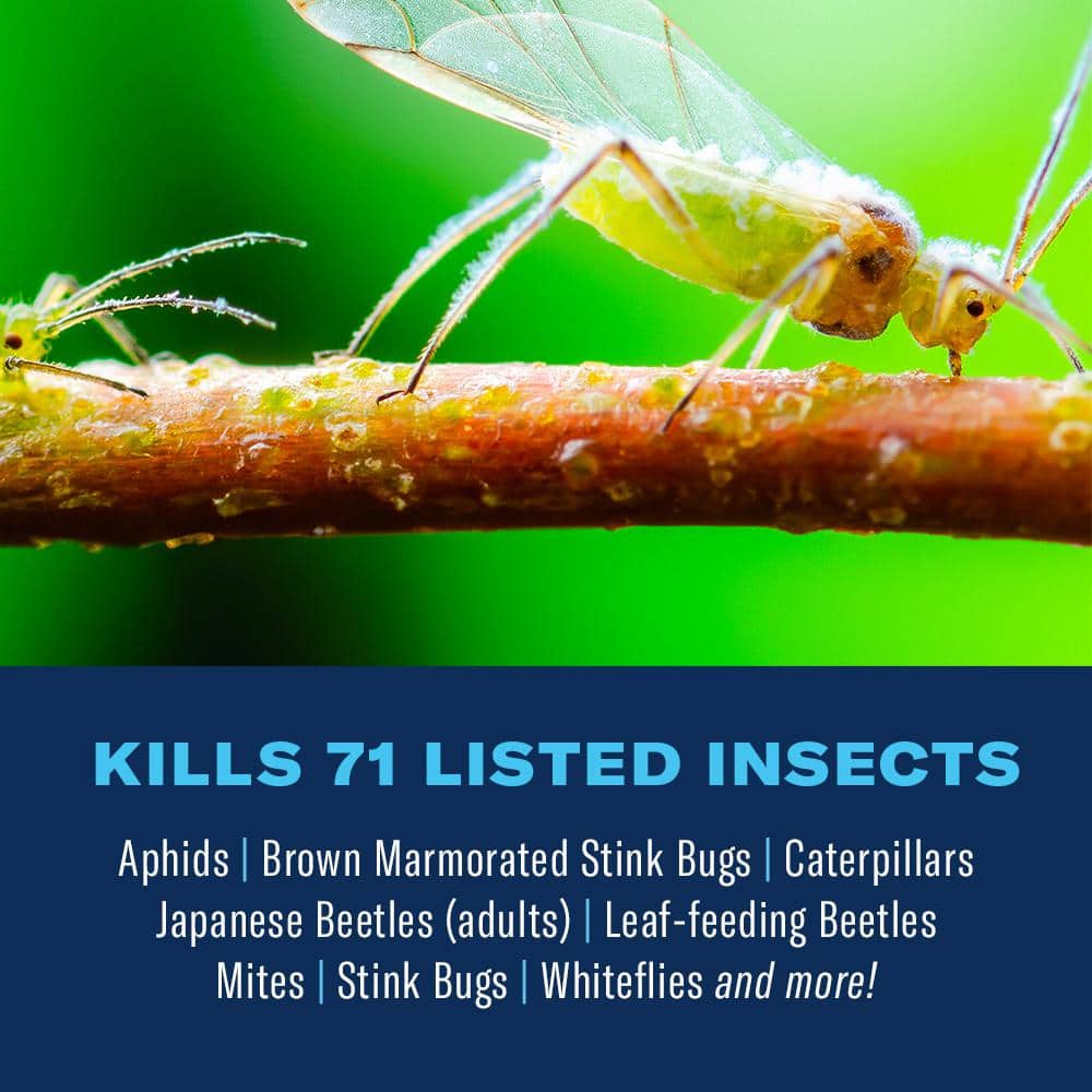 40 oz. Concentrate Complete Brand Insect Killer for Soil and Turf - Hercitys