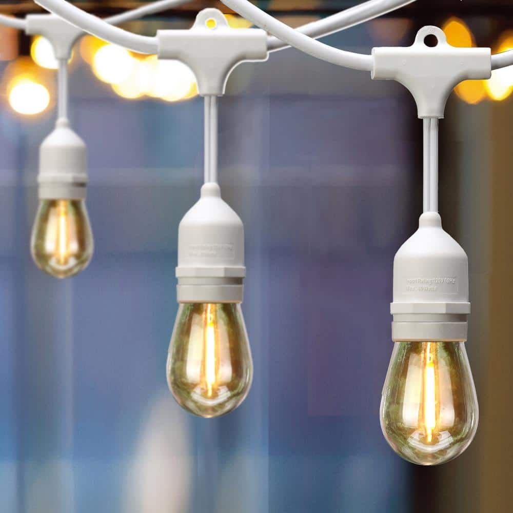12-Light 24 ft. Indoor/Outdoor Plug-In Edison Bulb String Light with S14 Single Filament LED Bulbs in White Cord - Hercitys