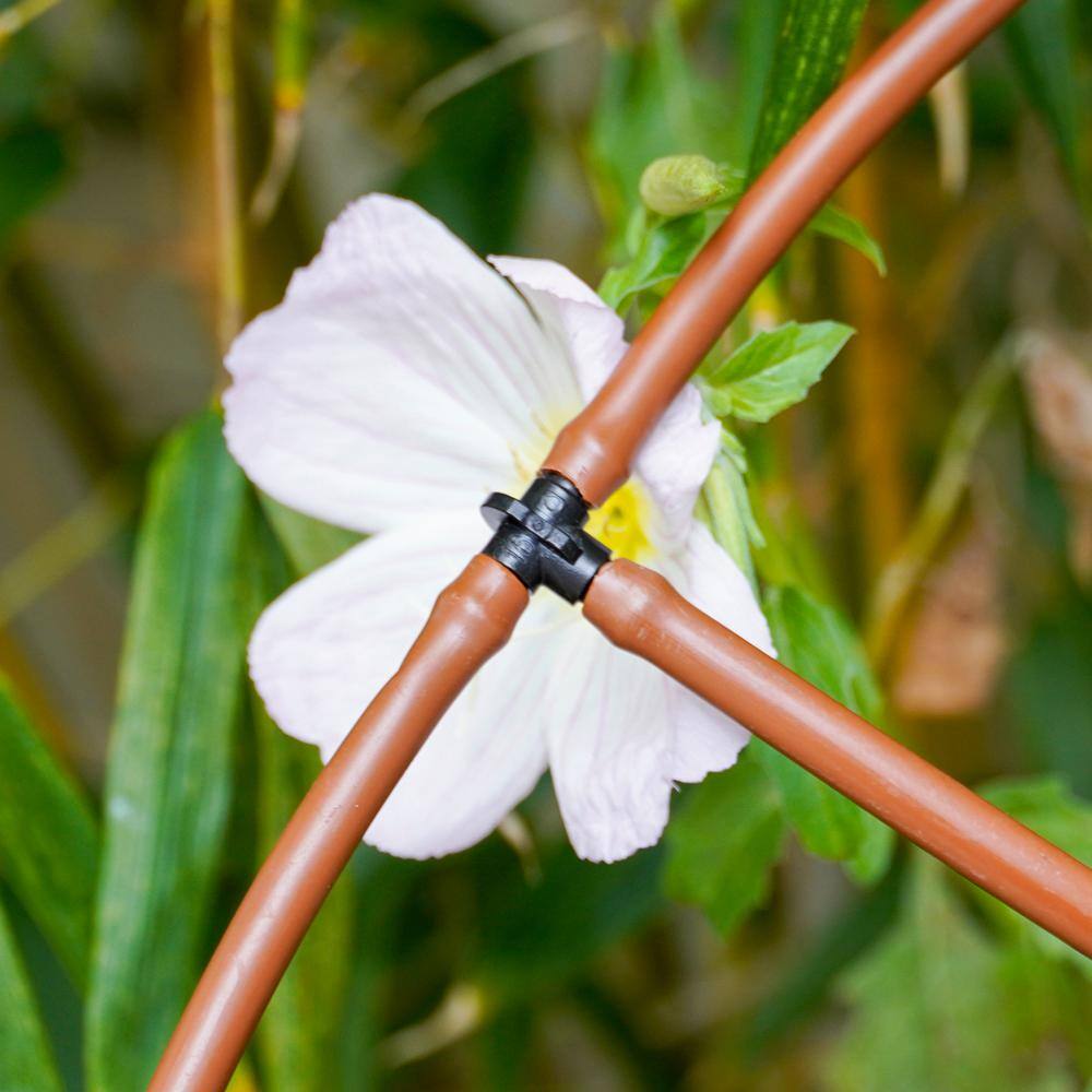 1/4 in. Barb Tees (100-Pack) - Hercitys