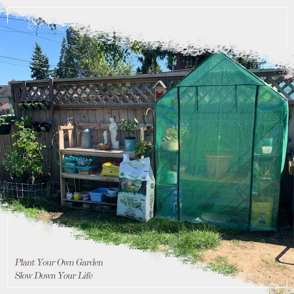 56 in. W x 30 in. D x 76 in. H Greenhouse, Portable Walk in Green House for Garden Plants, Green - Hercitys