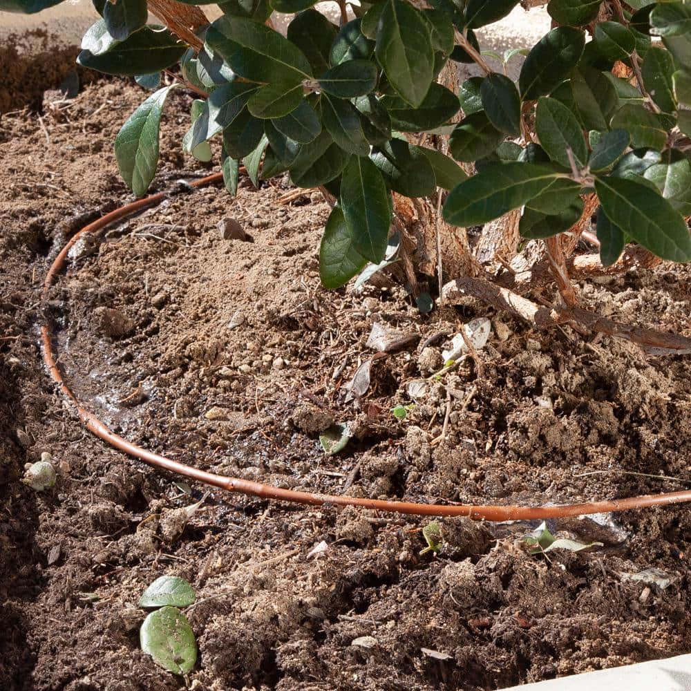 1/4 in. x 100 ft. Dripline with 6 in. Emitter Spacing - Hercitys