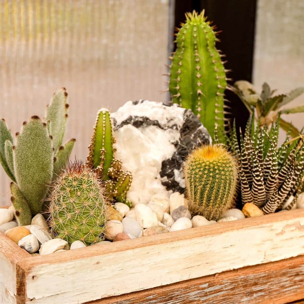 0.25 cu. ft. 3/8 in. to 5/8 in. Green Polynesian Landscape Rock for Gardens, Potted Plants and Terrariums - Hercitys