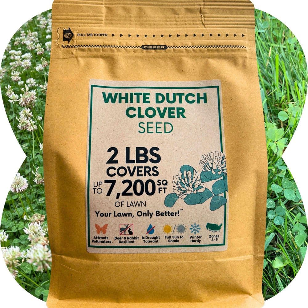 2 lb. White Dutch Clover Flower Lawn Seed, Organic Coated, Low Mnt, Pollinator Friendly, Covers Up to 7,200 Sq. ft. - Hercitys