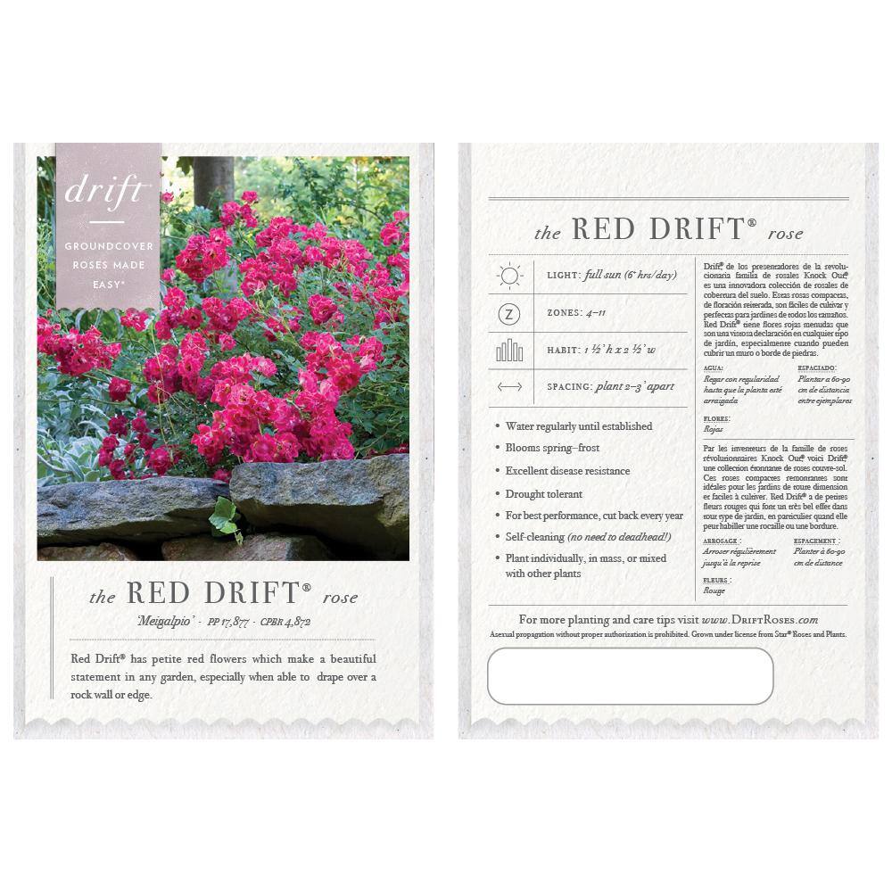 1 Gal. Red Drift Rose Bush with Red Flowers (2-Pack) - Hercitys