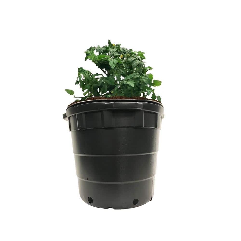 10 Gal. Round Plastic Nursery Pots (10-Pack) - Hercitys