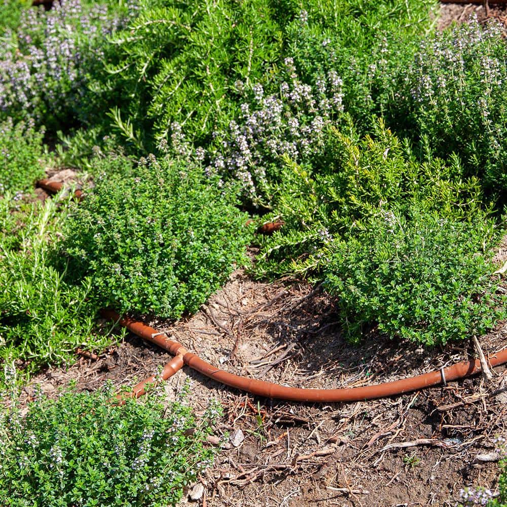 1/2 in. x 250 ft. 1-GPH Pressure Compensating Emitter Tubing with 18 in. Spacing - Hercitys