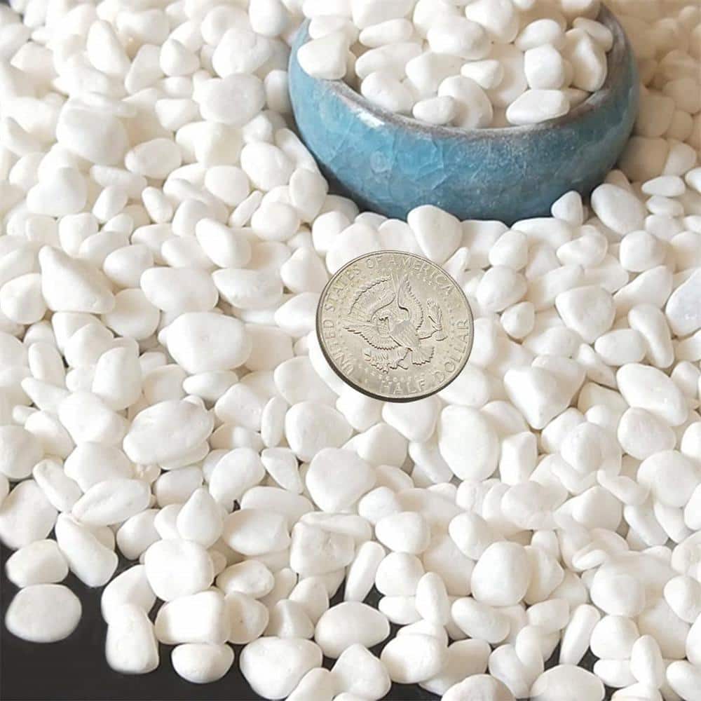 0.1 cu. ft. White 2.2 lbs. 0.3 in.-0.4 in. Size Extra Small Gravel - Hercitys