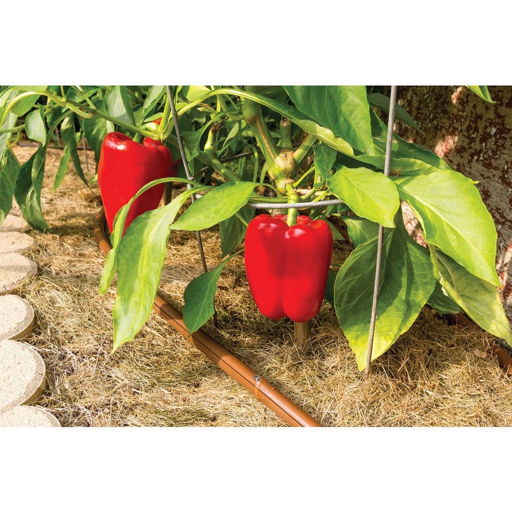 1/4 in. x 50 ft. Drip Emitter Tubing with 6 in. Spacing - Hercitys