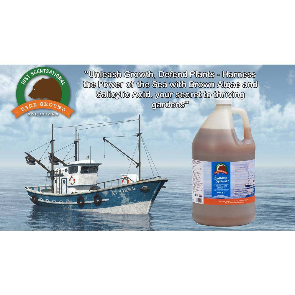 128 oz. Brown Algae with Natural Salicylic Acid - Hercitys