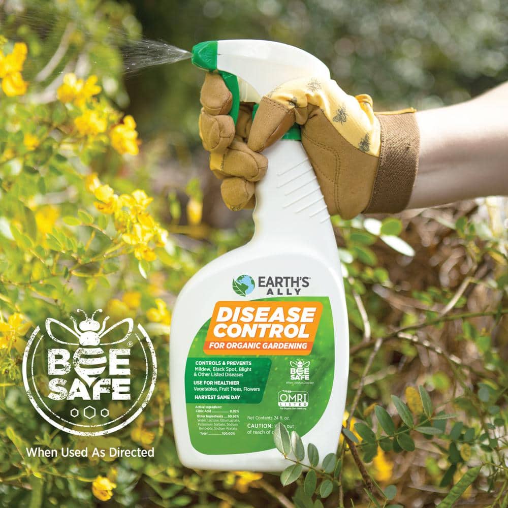 1 qt. Concentrate Fungicide, Disease Control - Hercitys