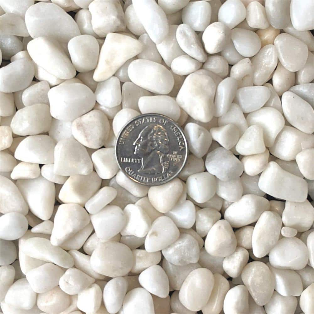 0.1 cu. ft. White Small Polished Pebbles 5 lbs. 3/8 in.-1/2 in. Size Landscape Rocks - Hercitys