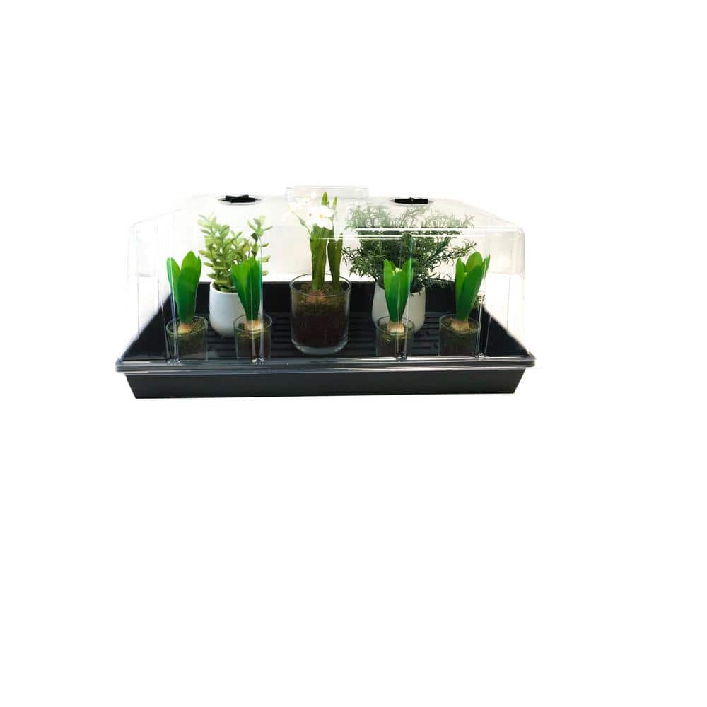 10 in. x 20 in. Extra-Strength Quad Thick Seed Starter PropagationTray (10-Pack) - Hercitys