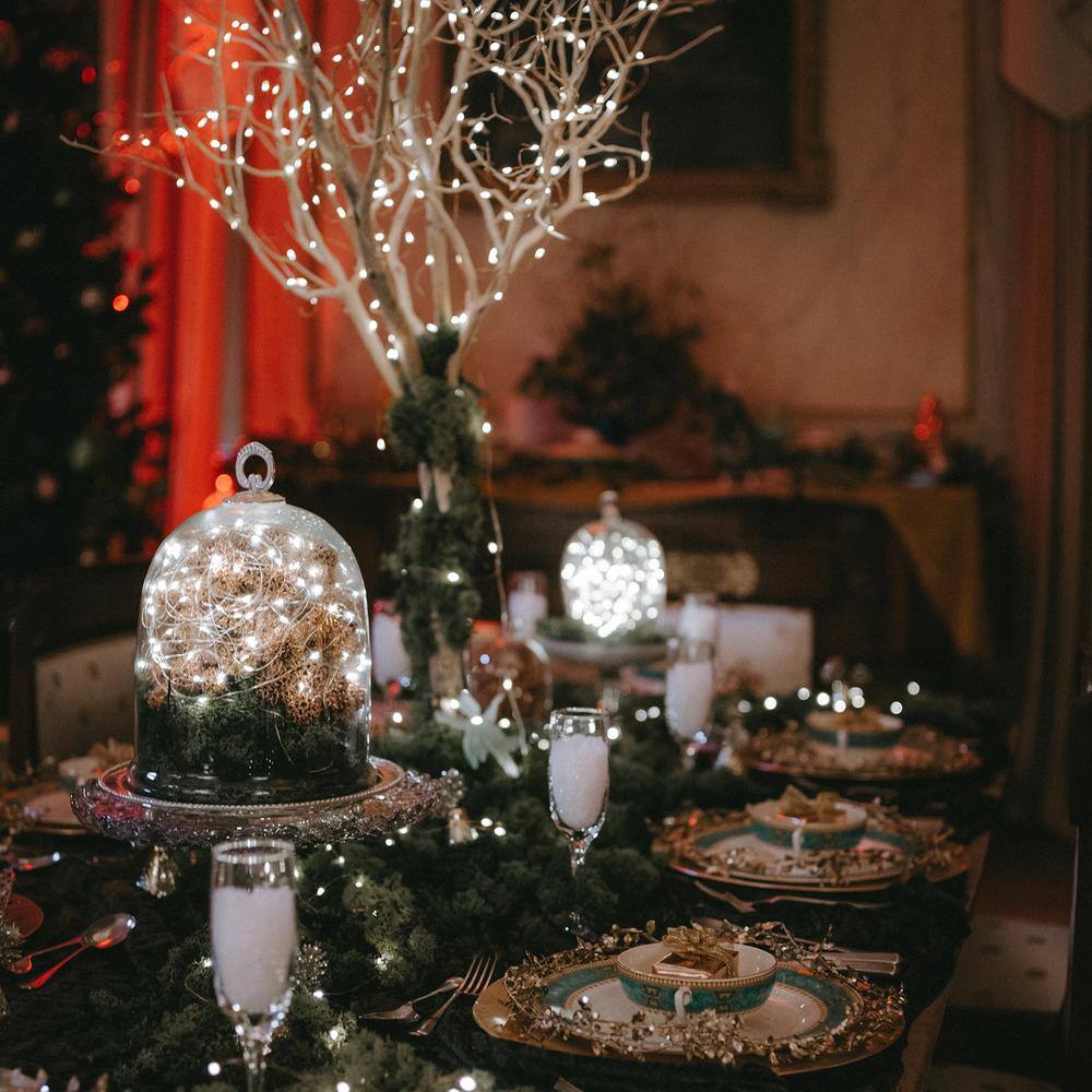 100-Light LED Pure White Micro Fairy Lights with 16.25 ft. Copper Wire - Hercitys