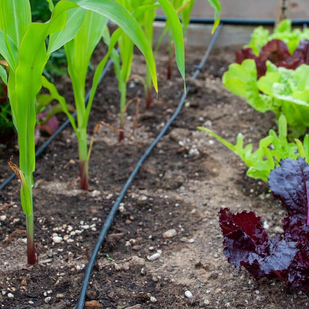 1/4 in. x 50 ft. Soaker Hose Dripline - Hercitys