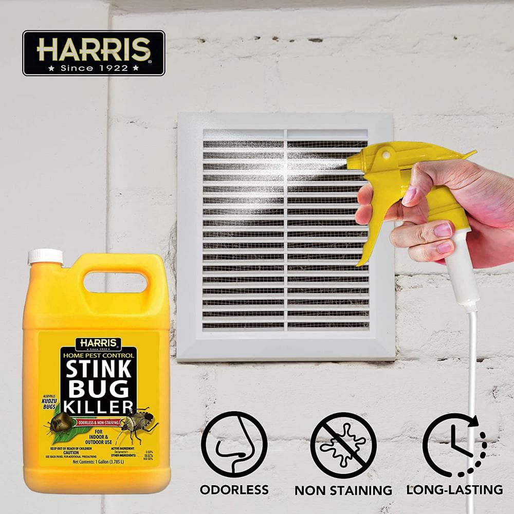 1 Gal. Stink Bug Killer (2-Pack) - Hercitys