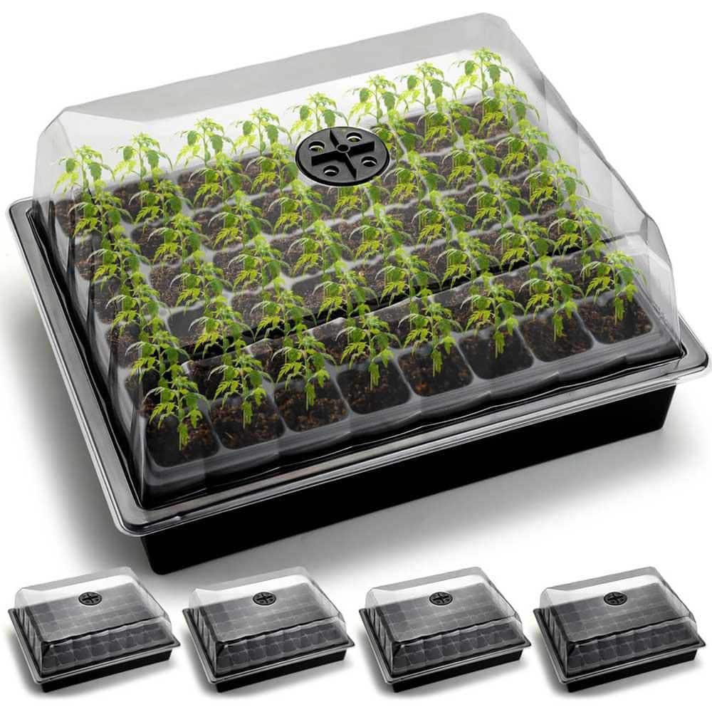5-Pack No Drip Seed Starter Trays with 4 Humidity Dome 240 Cells Deep Root Plug Trays for Vegetables Herbs Flowers - Hercitys