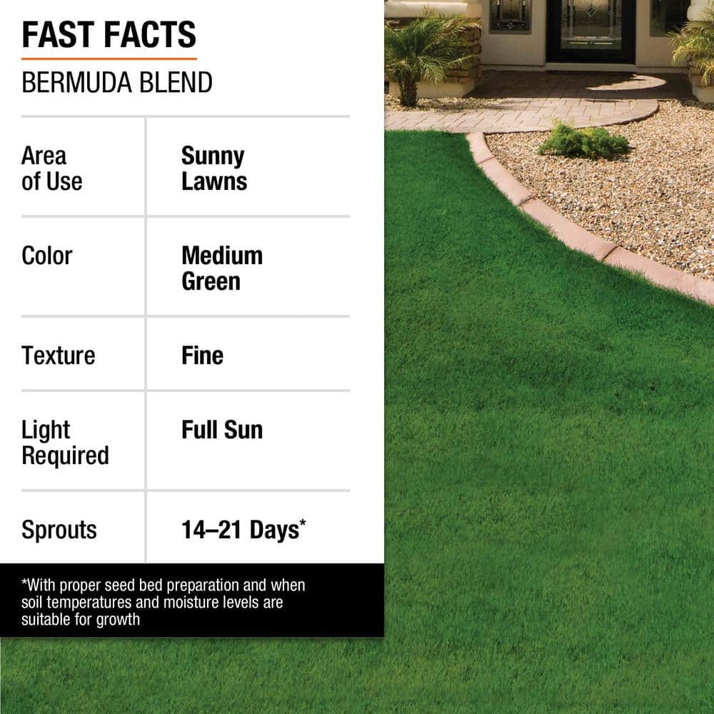 1 lb. Bermuda Grass Seed Blend with Water Saver Seed Coating - Hercitys