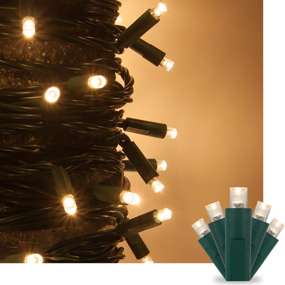 17 ft. 50-Light Warm White 5 mm LED Mini Light Set - Hercitys