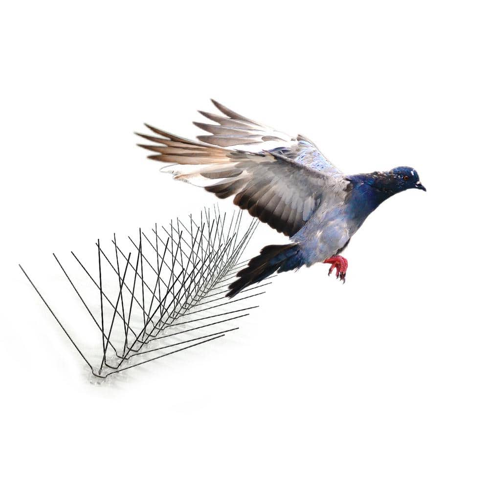 10 ft. Original Stainless Steel Bird Spikes Pigeons Starling Blackbirds Seagulls 6 in. Coverage - Hercitys