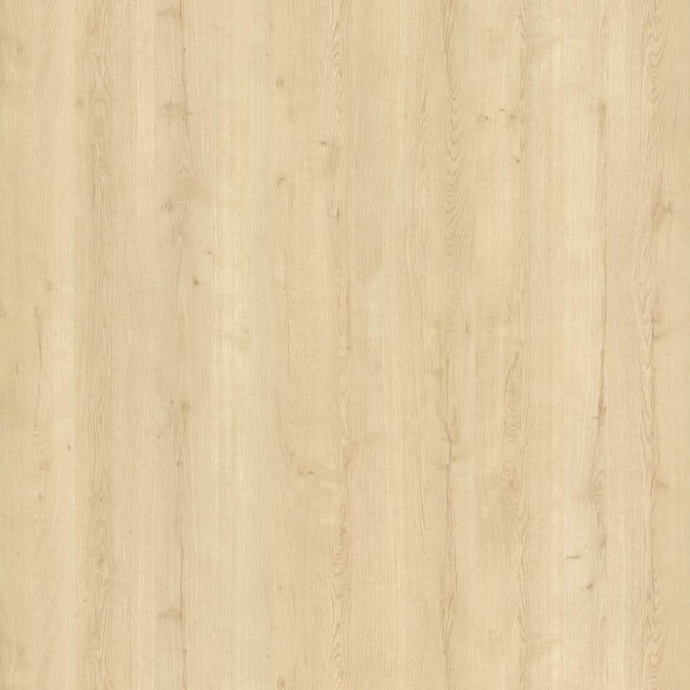 4 ft. x 8 ft. Laminate Sheet in Planked Raw Oak with Premiumfx Pure Grain Finish - Hercitys