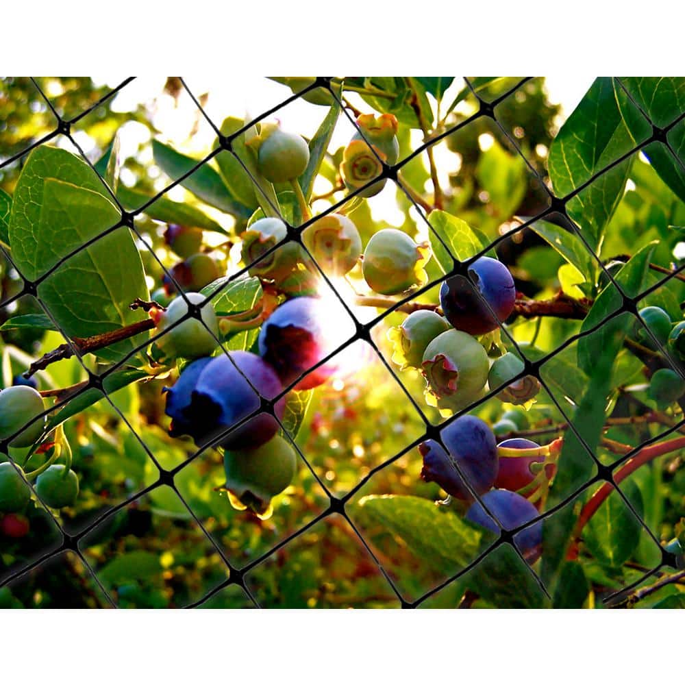 100 ft. x 14 ft. Standard Bird Netting - Hercitys