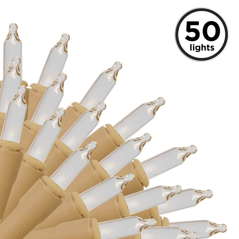 50-Light Designer Series Clear Mini Lights, Champaign Wire - Hercitys