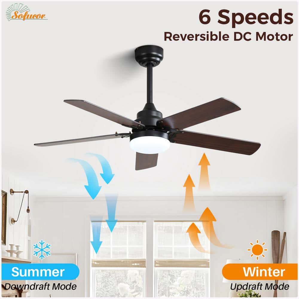 42 in. Indoor Black Downrod Mount and Flush Mount Led Ceiling Fan with Remote Control, 6-Speed DC Motor and Lights Kit - Hercitys