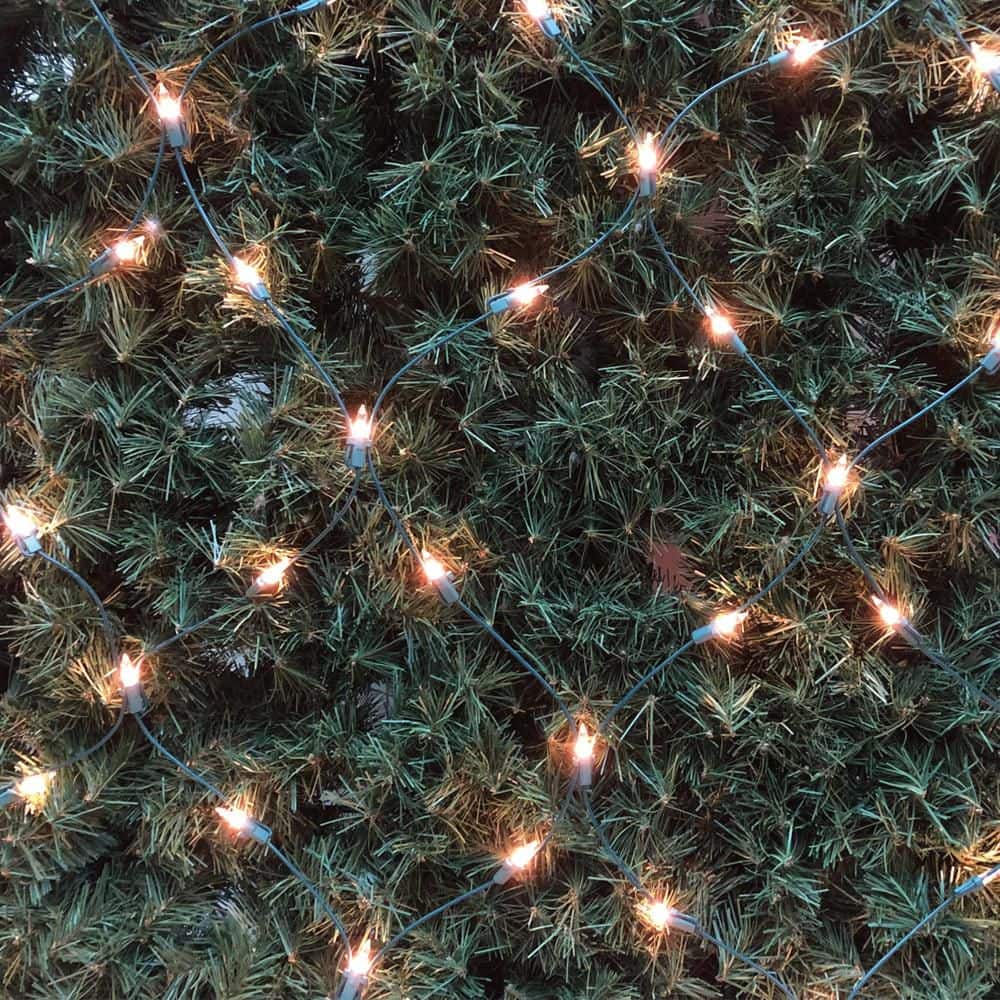 48 in. x 72 in. 150-Count Incandecent Clear Christmas Net Lights - Hercitys
