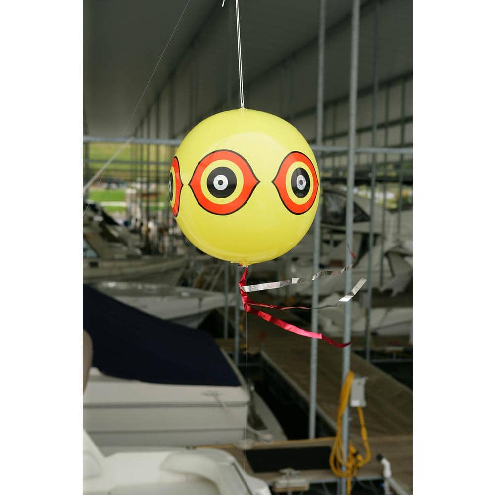 42 in. Round Dalen Guard’N Eyes Bird-Scaring Balloon - Hercitys