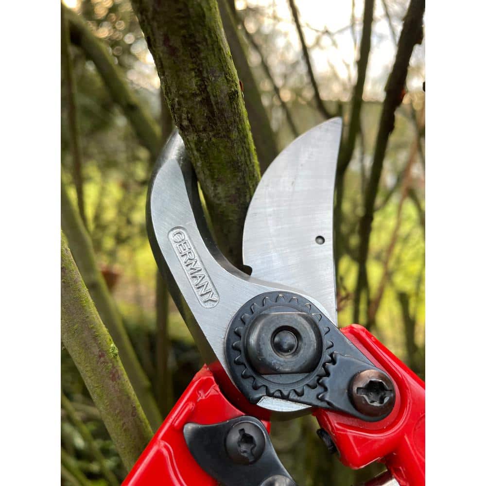 11 in. Pruning Hand Shear - Hercitys