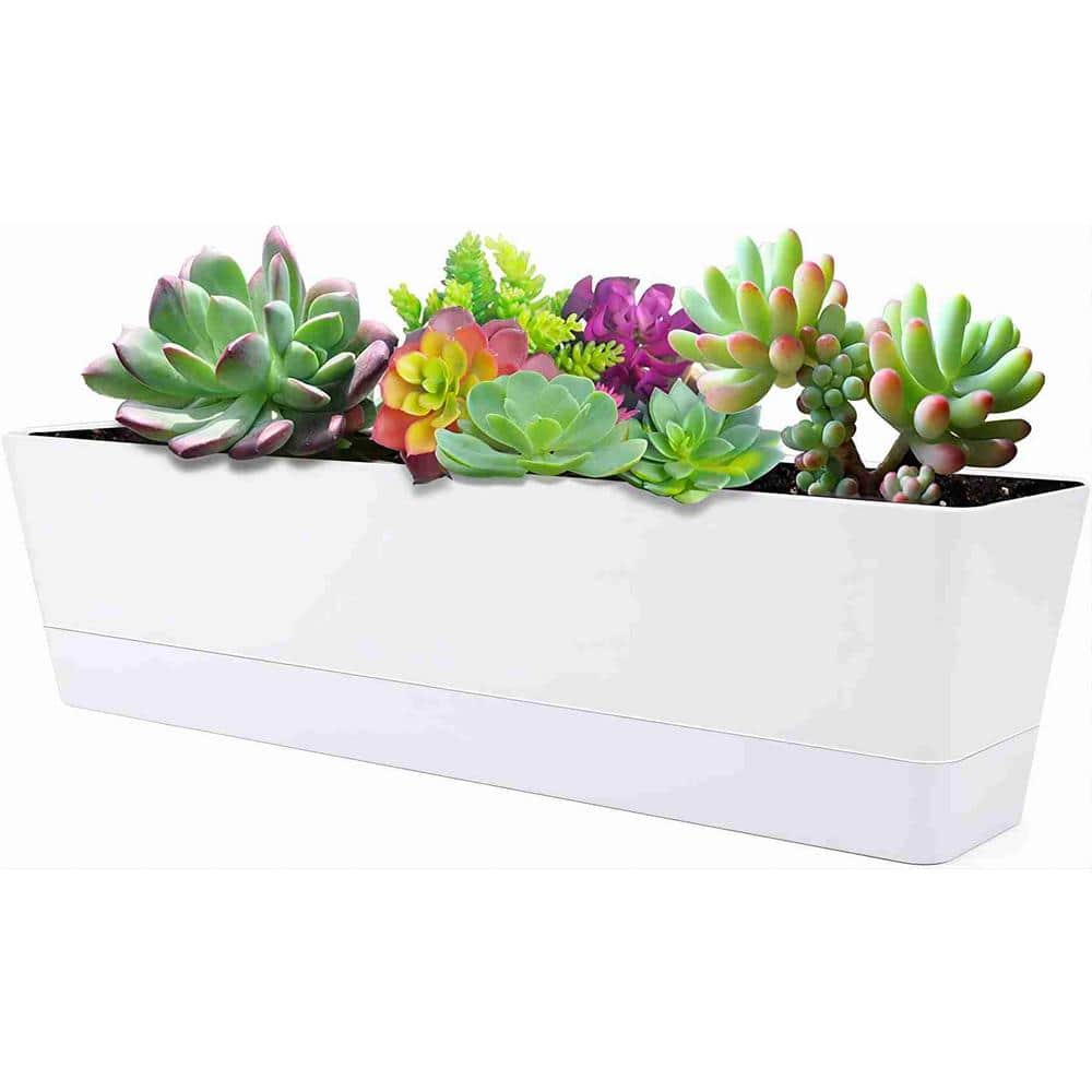16 in. x 3.8 in. White Large Window Boxes Plastic Planters, 1-Pieces Vegetable Herb Planters with Tray - Hercitys