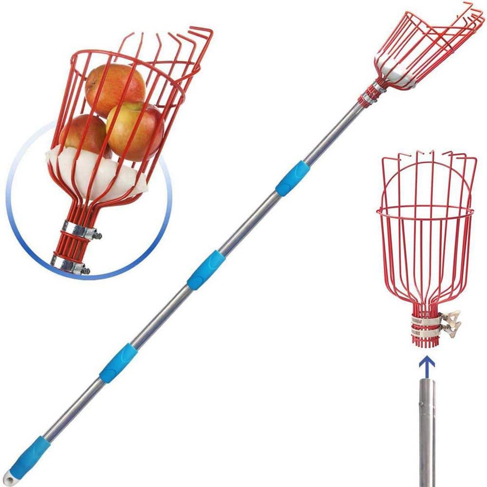 5 in. Tree Pruner Fruit Picker with Basket and Pole - Hercitys