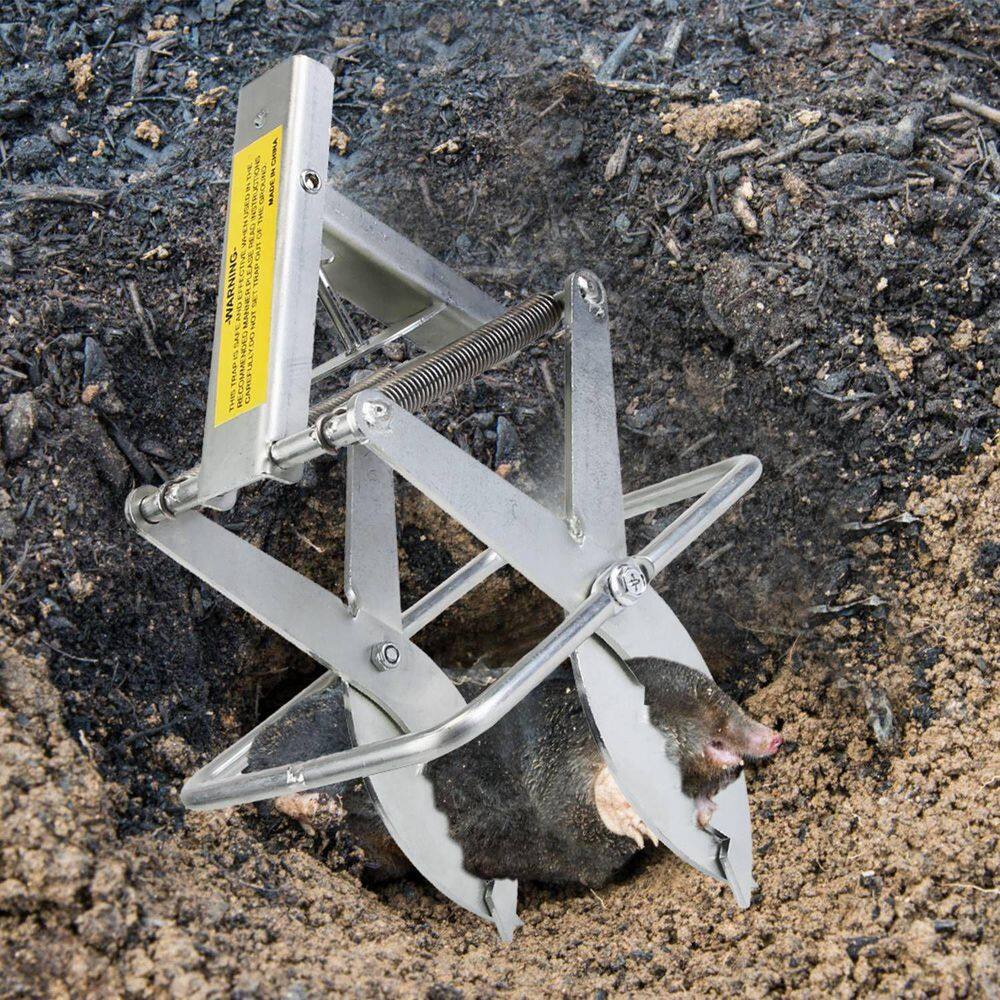 2 PCS Easy Setup Mole Traps, Outdoor Reusable Scissor Mole Gopher Rodent Control Trap, Solid Metal For Lawn Garden Yard - Hercitys