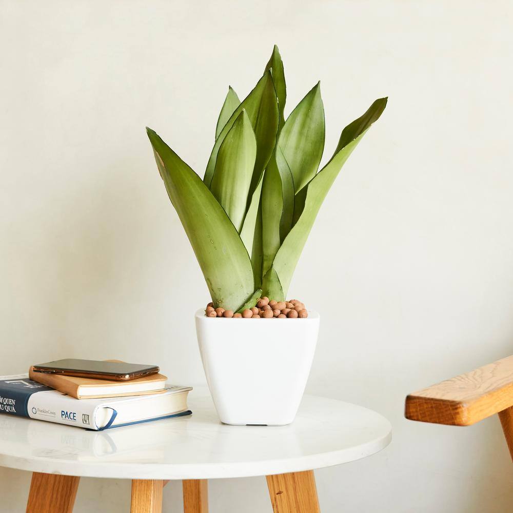 5.5/10 in. White Square Cone Plastic Self-watering Planter Pot, Set of 2 - Hercitys