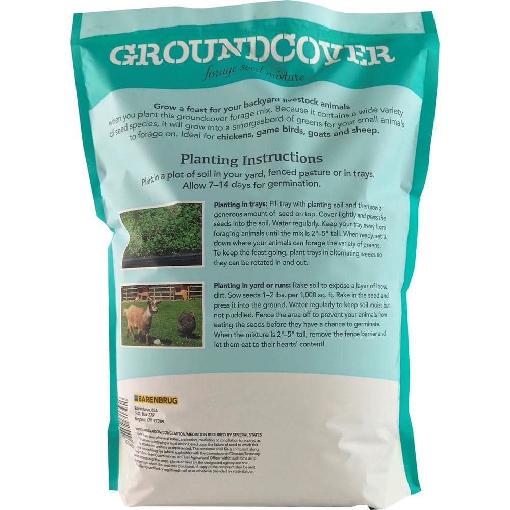 3 lbs. Free Range Groundcover Forage Seed Mixture - Hercitys