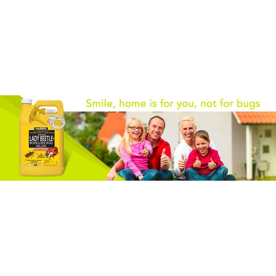 1 Gal. Asian Lady Beetle and Box Elder Bug Killer (3-Pack) - Hercitys