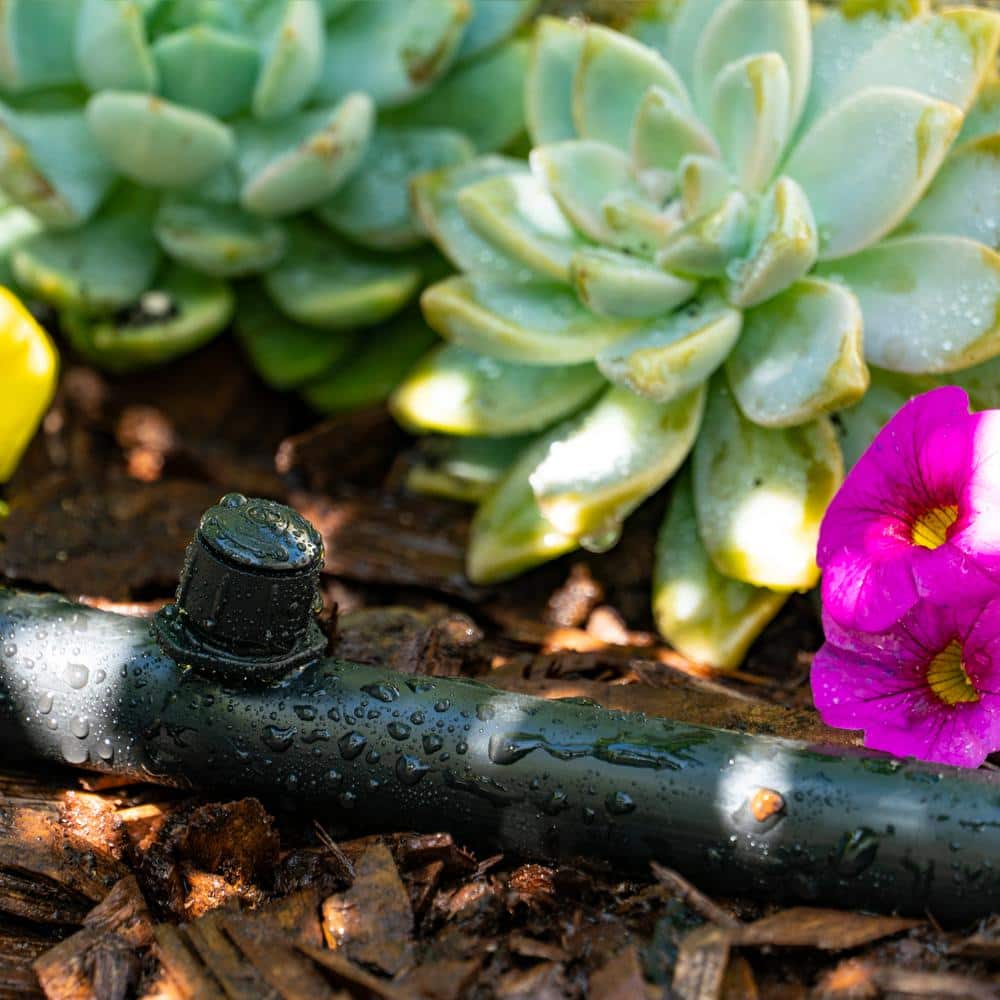 0-10 GPH Adjustable Bubbler 360 Degree (100-Pack) - Hercitys