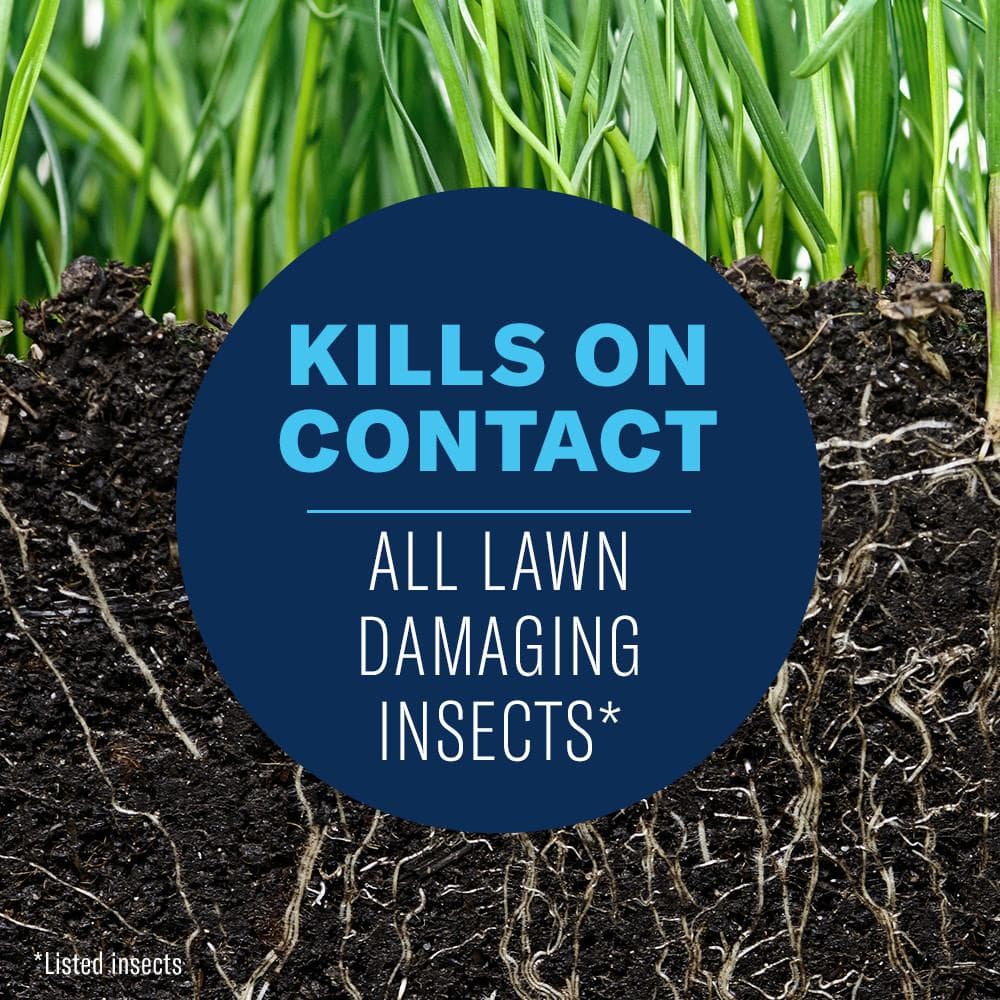 10 lbs. Complete Insect Killer Granules (2-Pack) - Hercitys