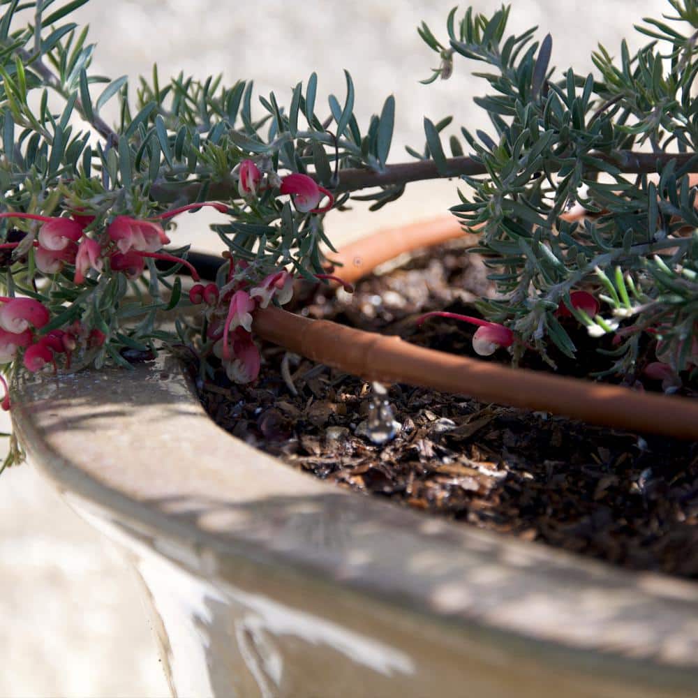 1/4 in. x 100 ft. Dripline with 6 in. Emitter Spacing - Hercitys