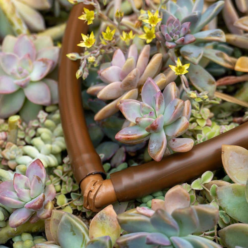 1/2 in. Barbed Elbow, 600 in. ID, 17 mm, BRN (20-Pack) - Hercitys