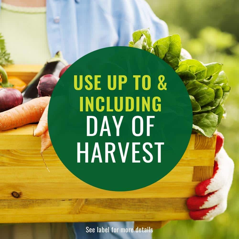 1.5 lb. Snail and Slug Killer Bait, Granules (2-Pack) - Hercitys