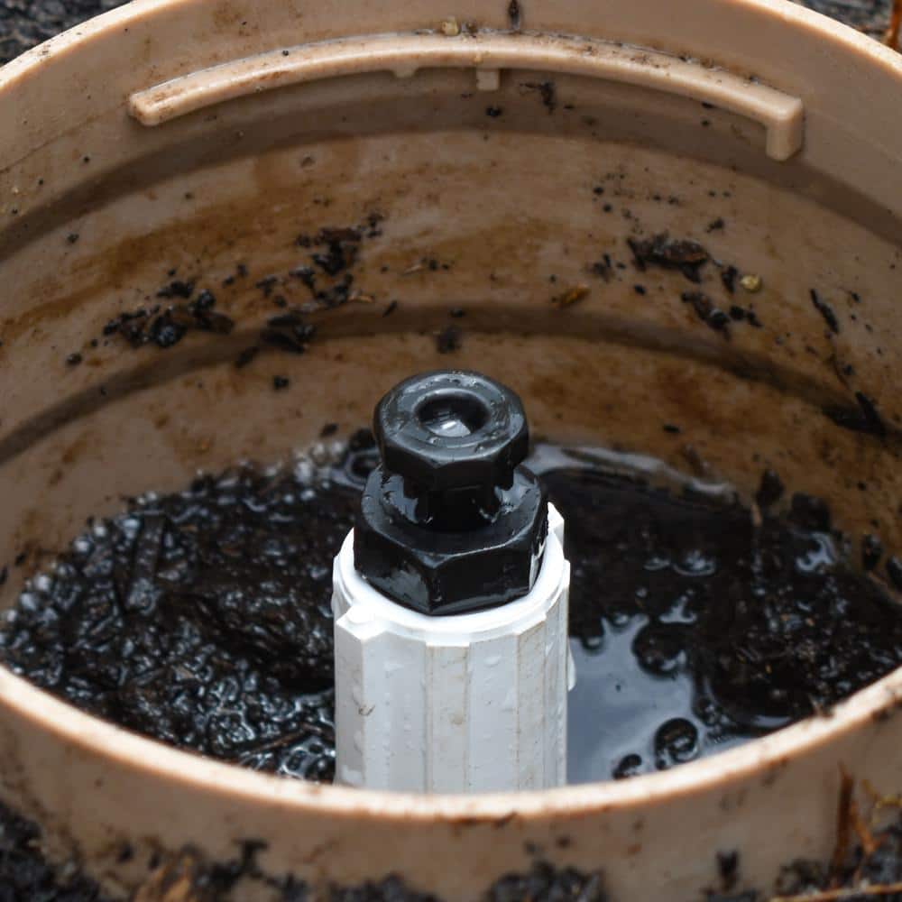 1/2 in. MPT Air Vacuum Relief Valve (Pack of 2) - Hercitys