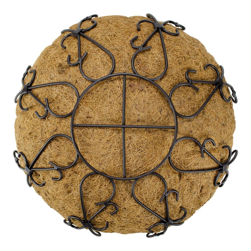 14 in. Painted Steel Filigree Hanging Basket with Coco Liner - Hercitys