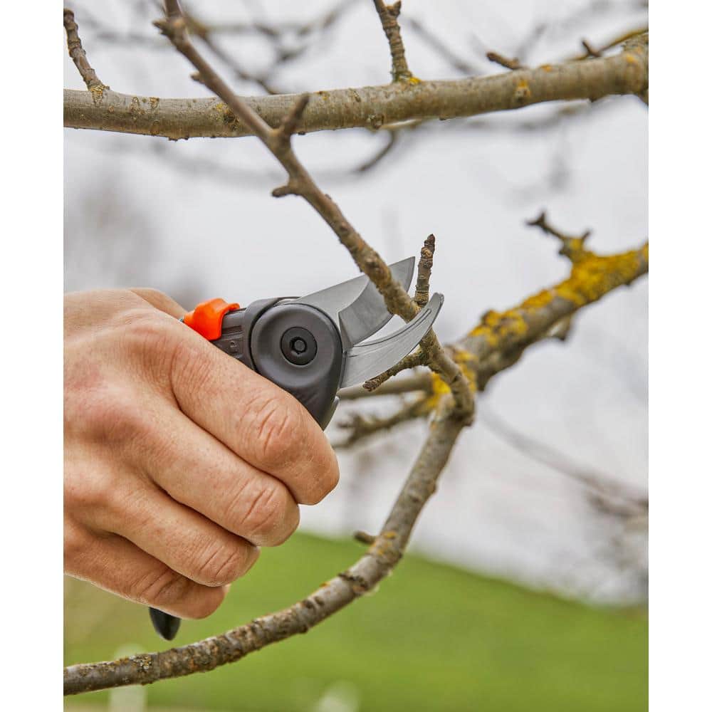 1 in. ExpertCut Pruning Shears - Hercitys
