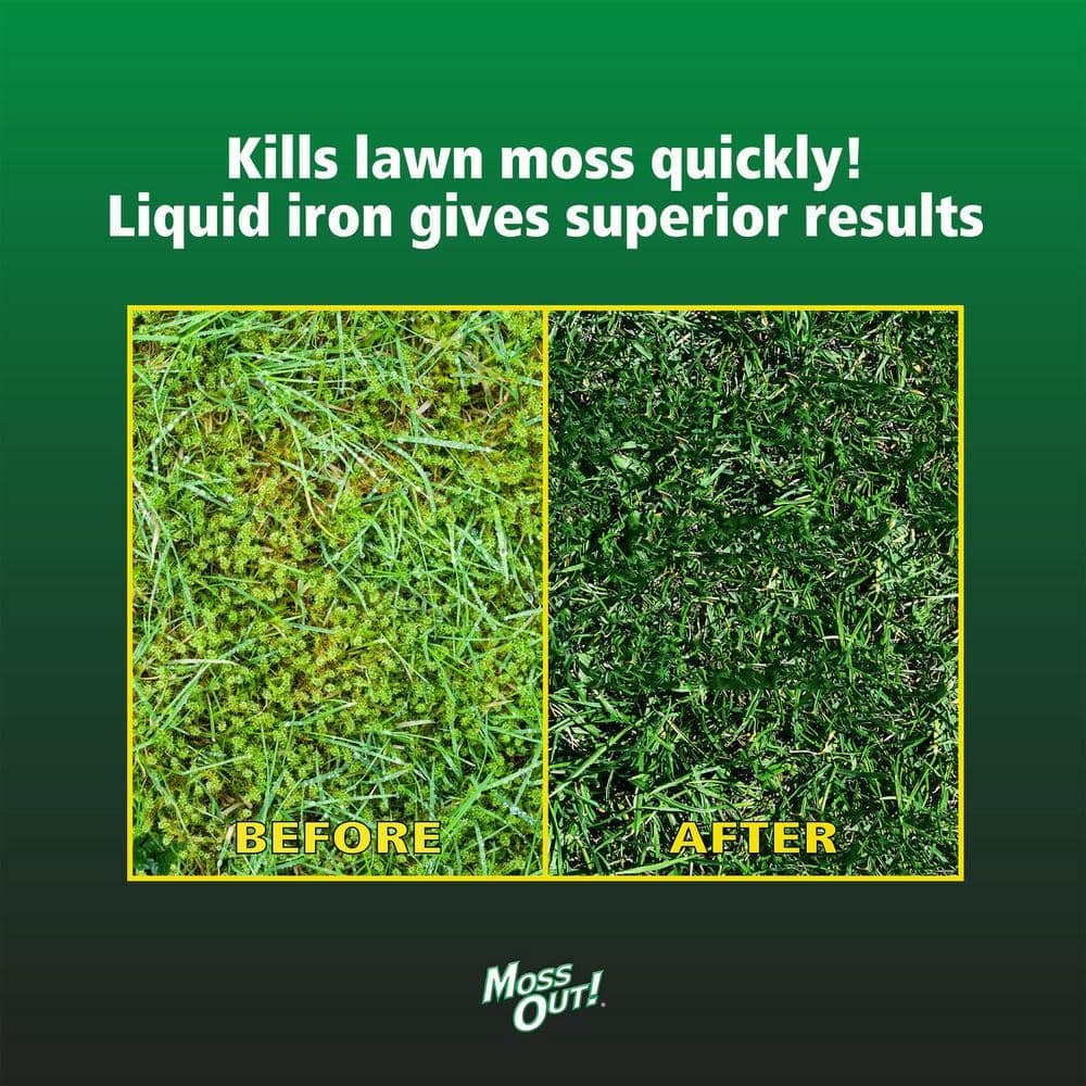 1 gal. 2,000 sq. ft. Lawn Moss Killer Concentrate - Hercitys