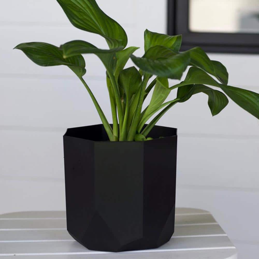 10 in. Tuxton Resin Black Planter - Hercitys