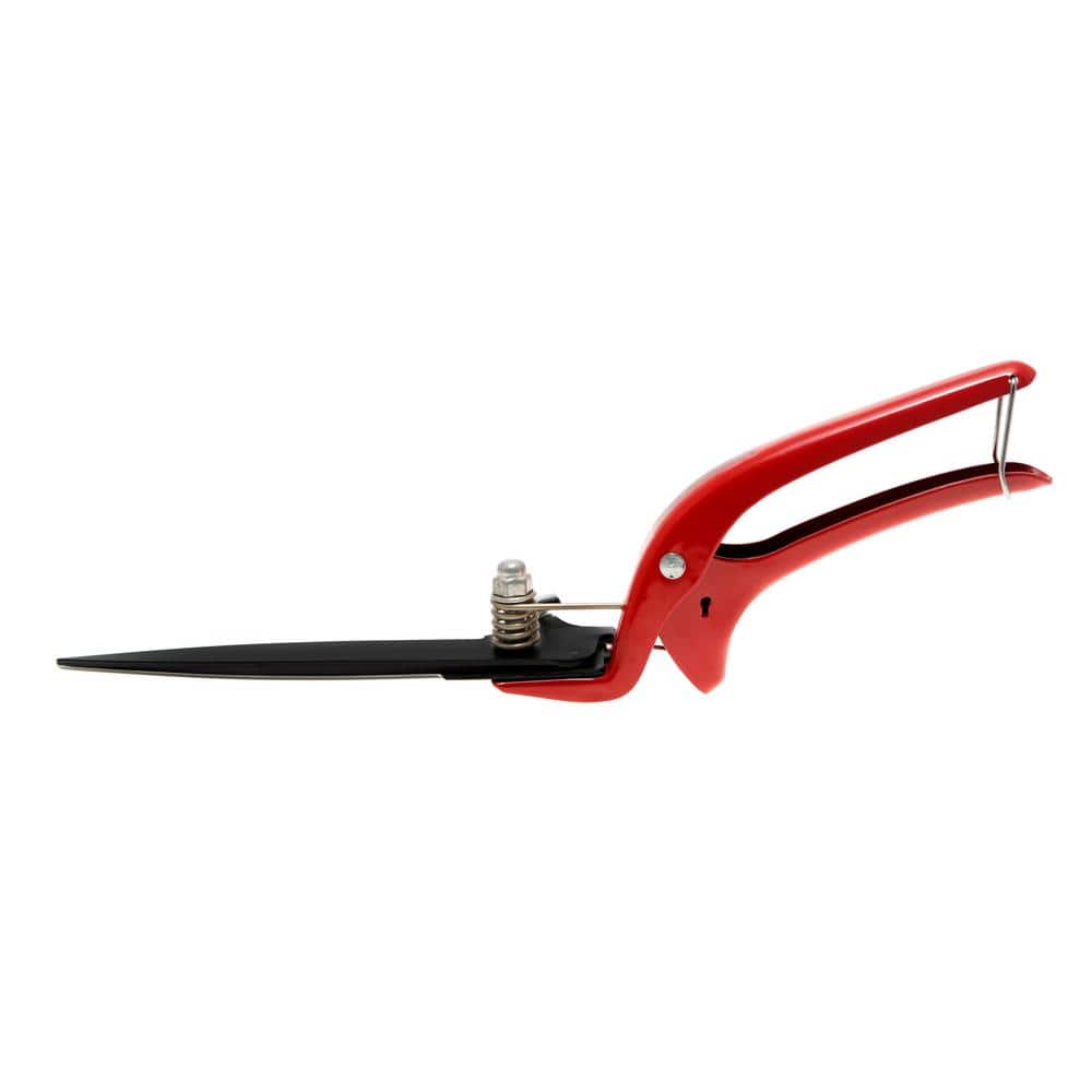 10 in. Grass Shear (Anti Adhesive Coated) - Hercitys