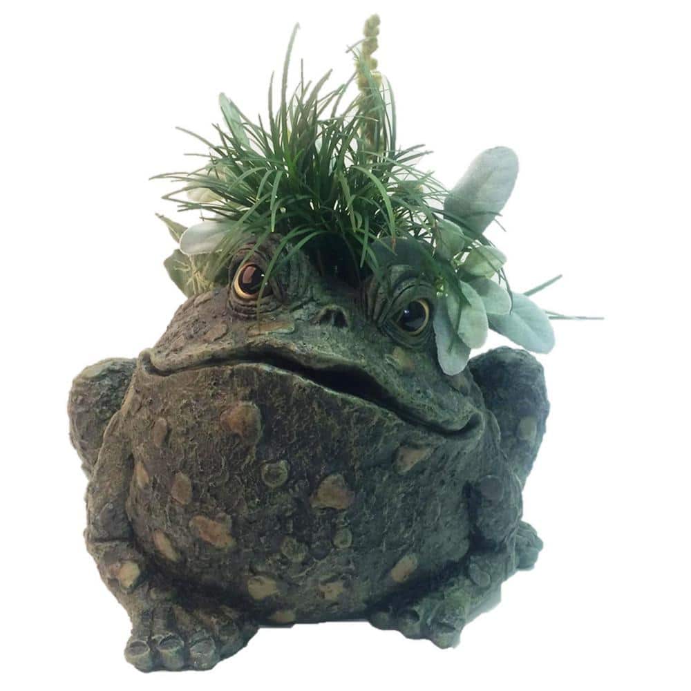 10 1/2 in. Toad Planter Garden Frog Statue (Holds 6 in. Pot) - Hercitys