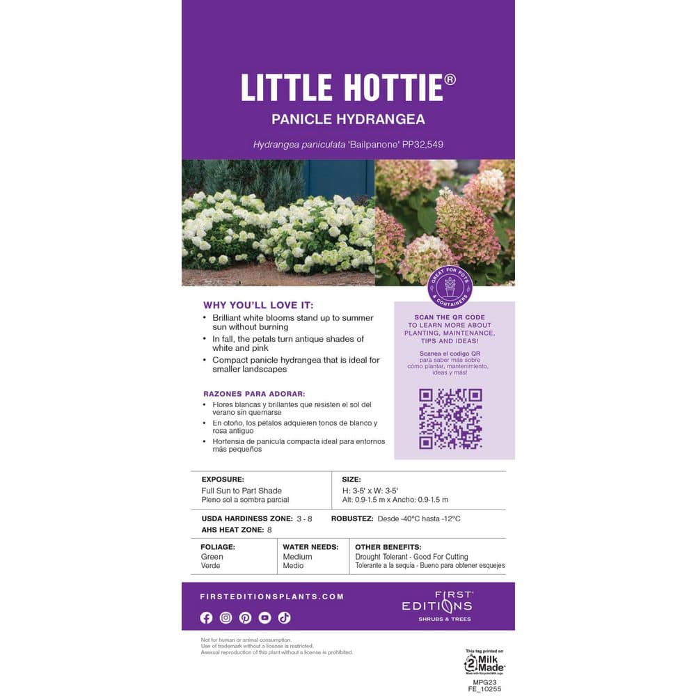1 Gal. Hydrangea, Little Hottie Hydrangea – (1 piece) - Hercitys